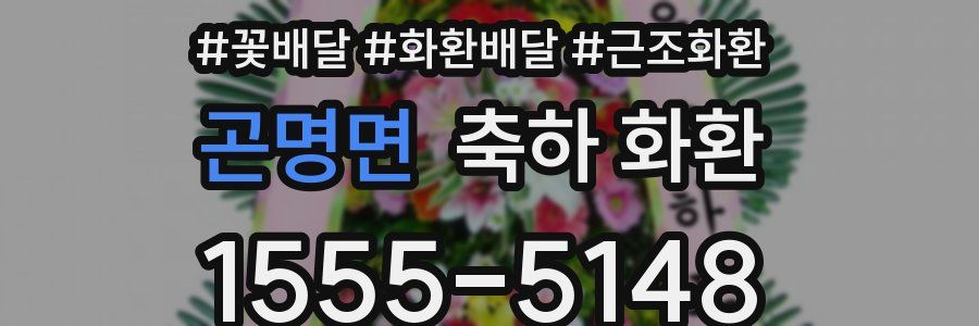 곤명면 축하 화환