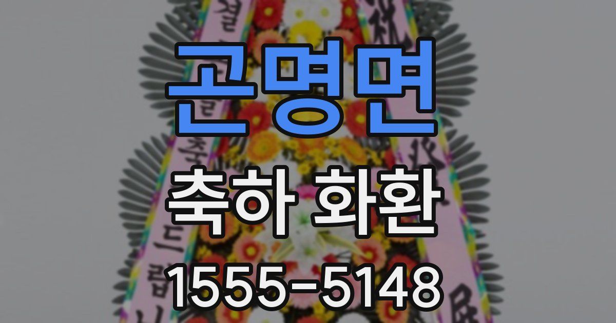 곤명면 축하 화환