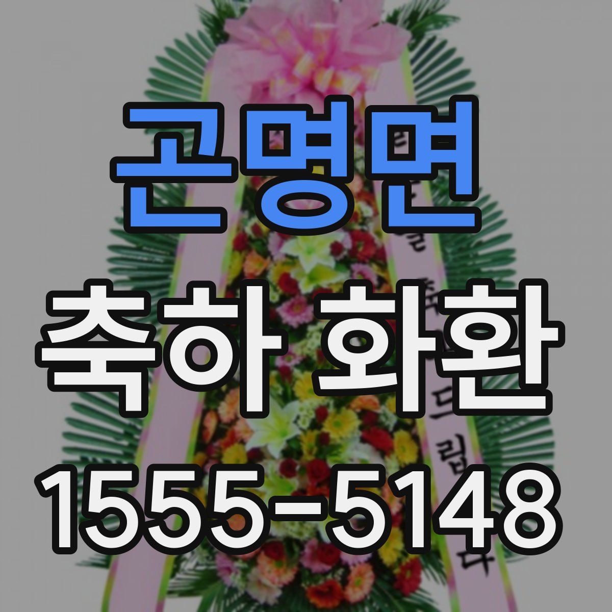 곤명면 축하 화환