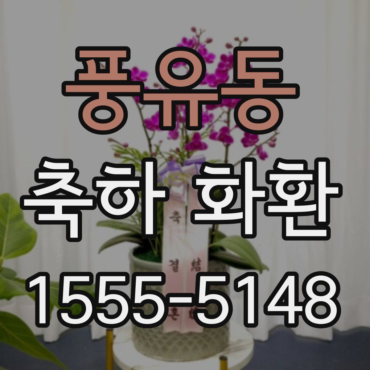 풍유동 축하 화환