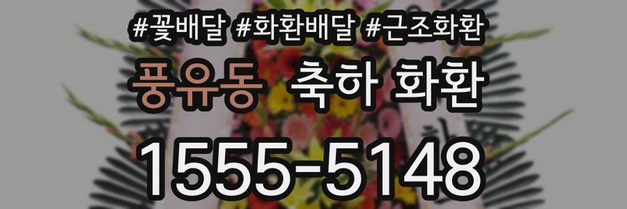 풍유동 축하 화환