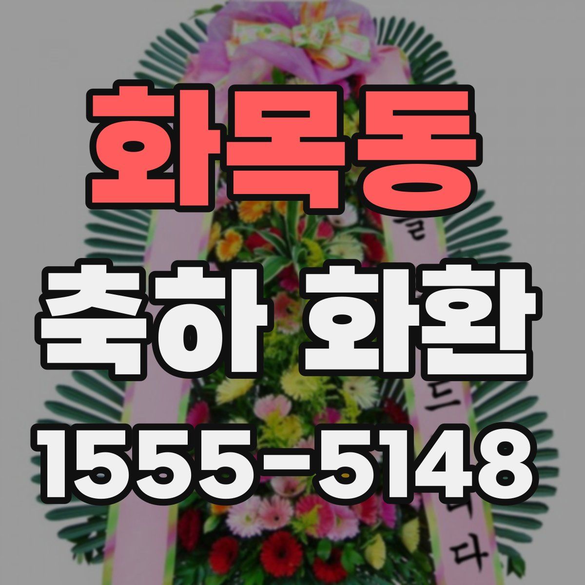 화목동 축하 화환