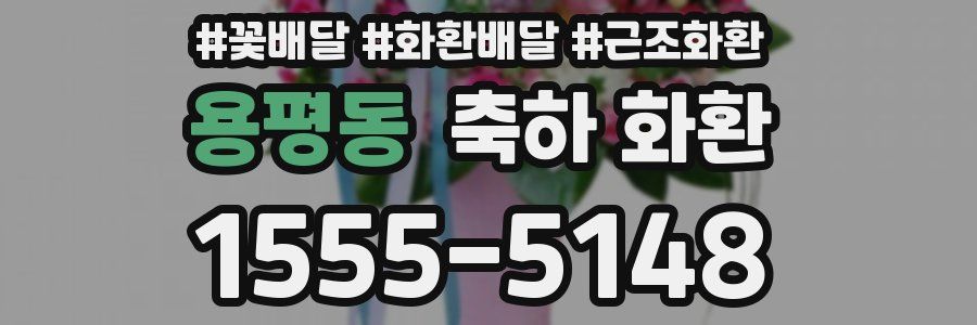 용평동 축하 화환