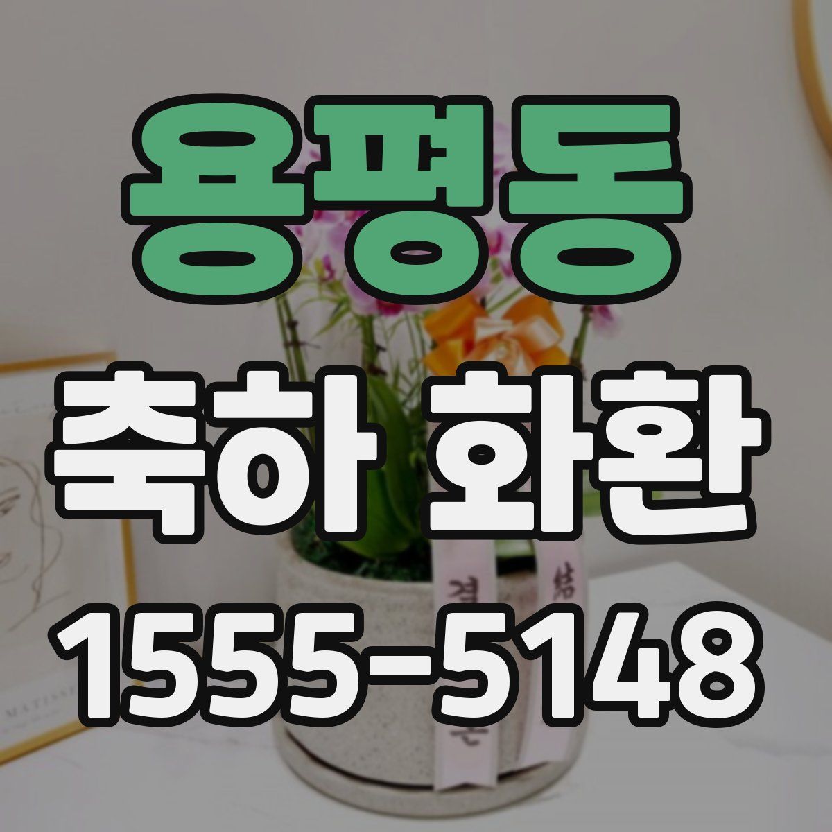용평동 축하 화환