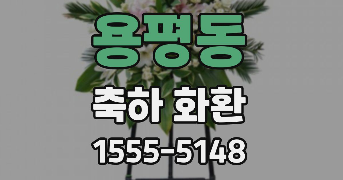 용평동 축하 화환