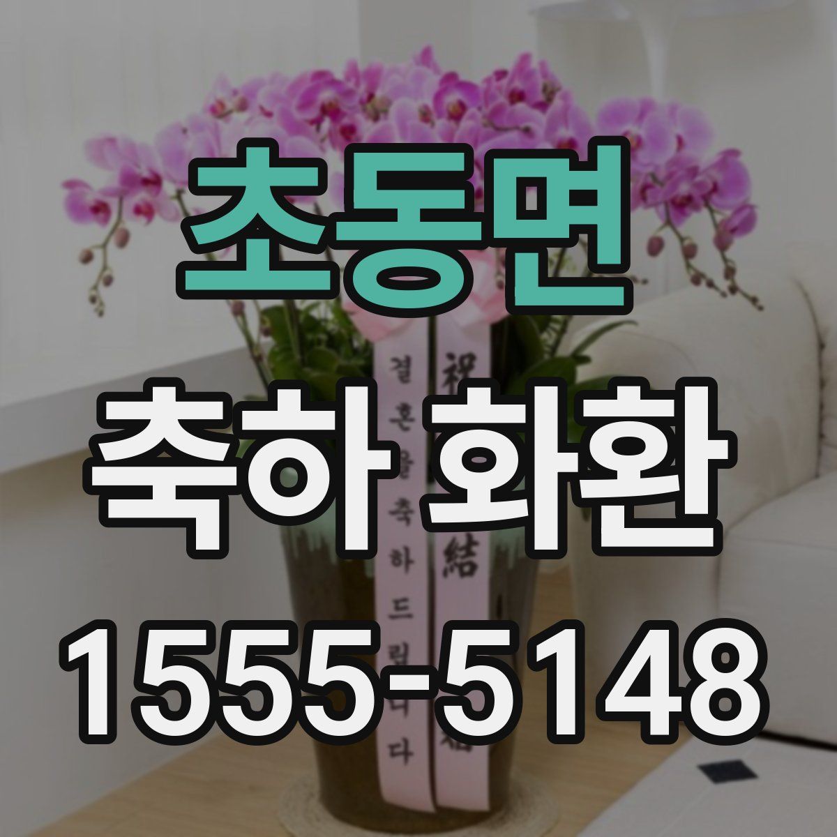 초동면 축하 화환