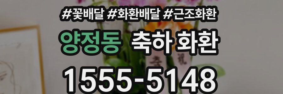 양정동 축하 화환
