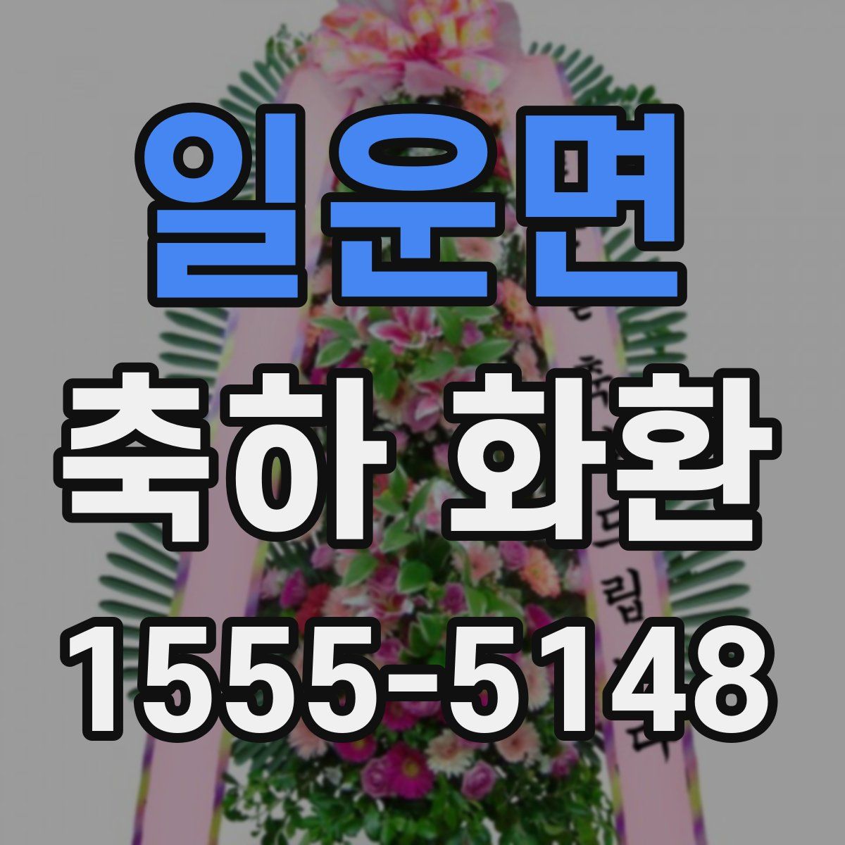 일운면 축하 화환