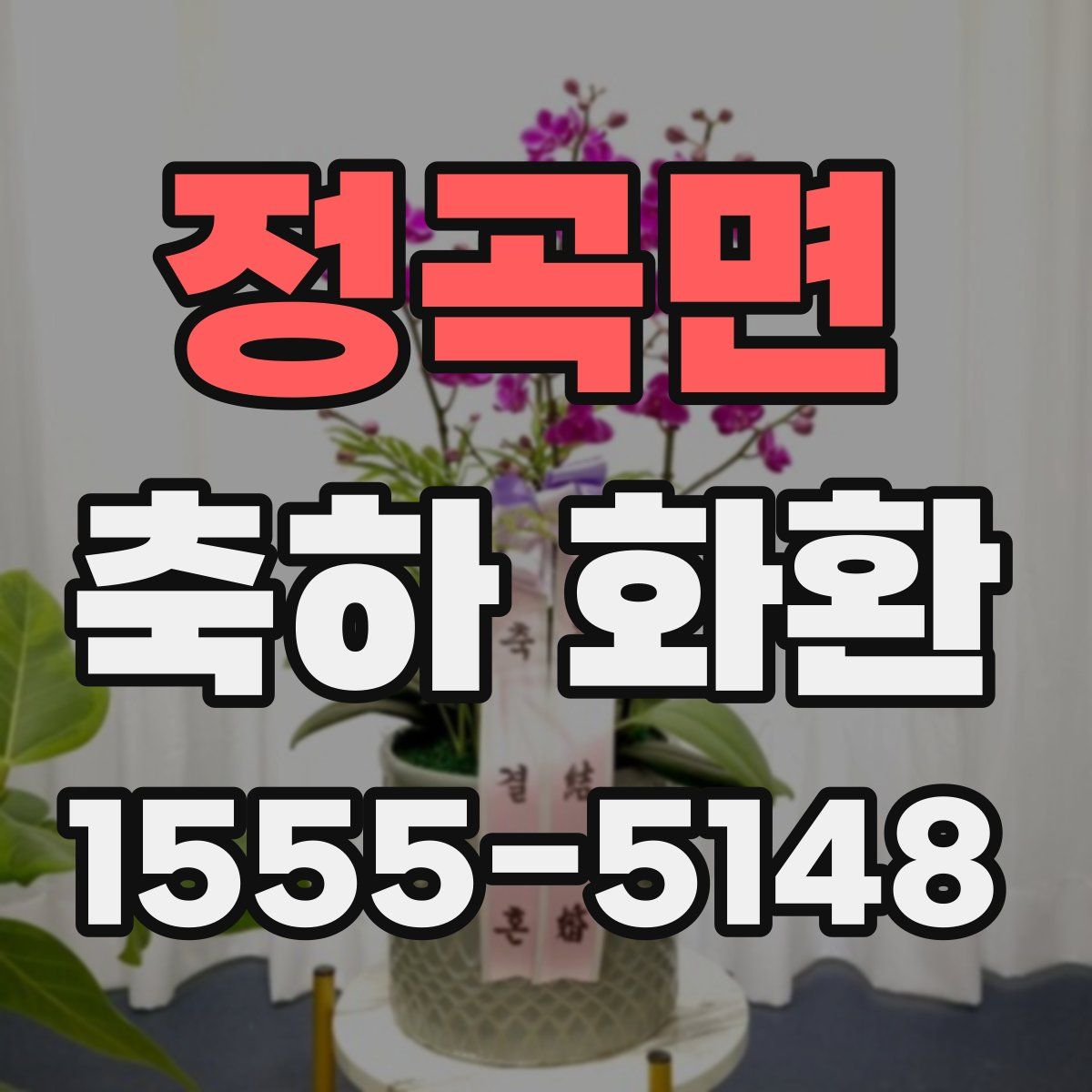 정곡면 축하 화환
