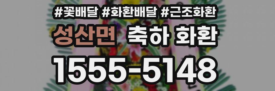 성산면 축하 화환