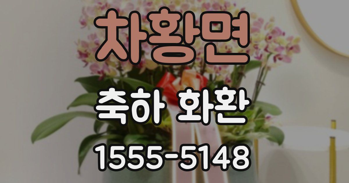 차황면 축하 화환