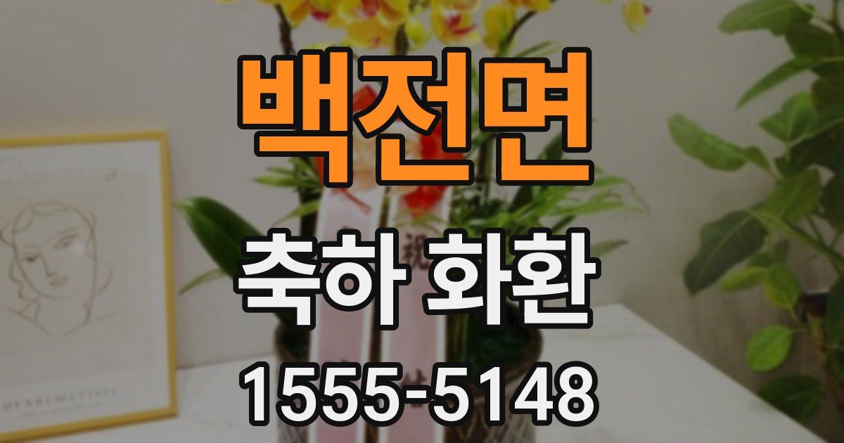 백전면 축하 화환