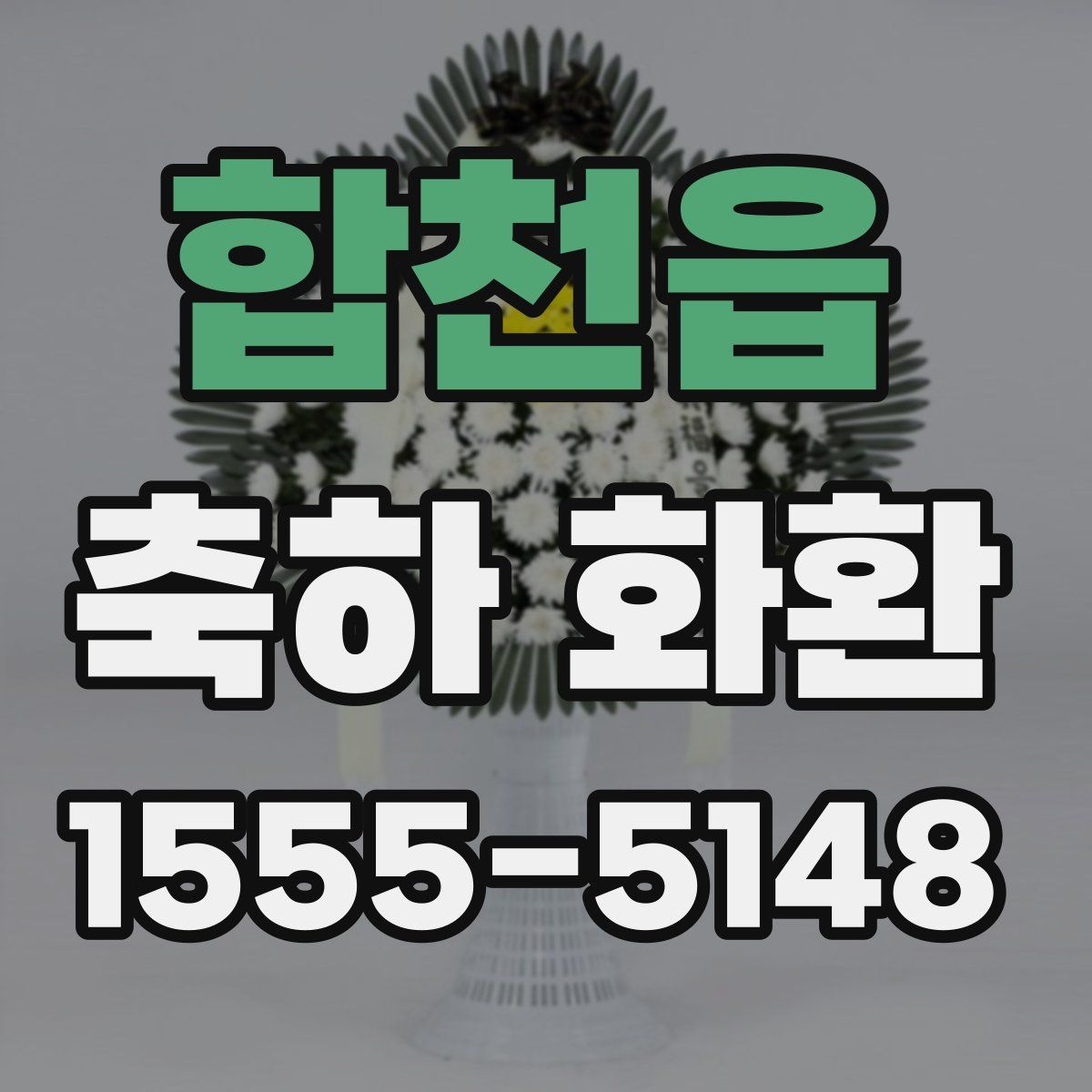 합천읍 축하 화환