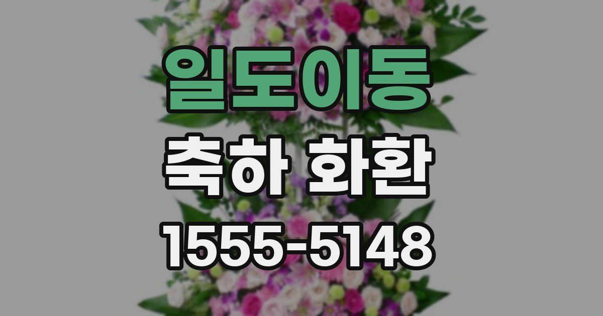 일도이동 축하 화환