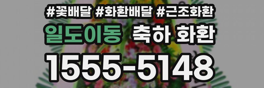 일도이동 축하 화환