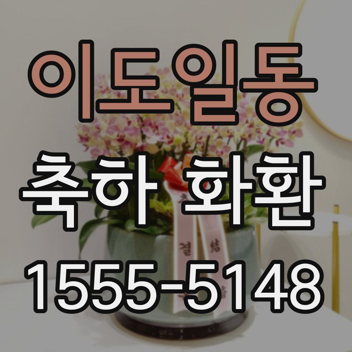 이도일동 축하 화환