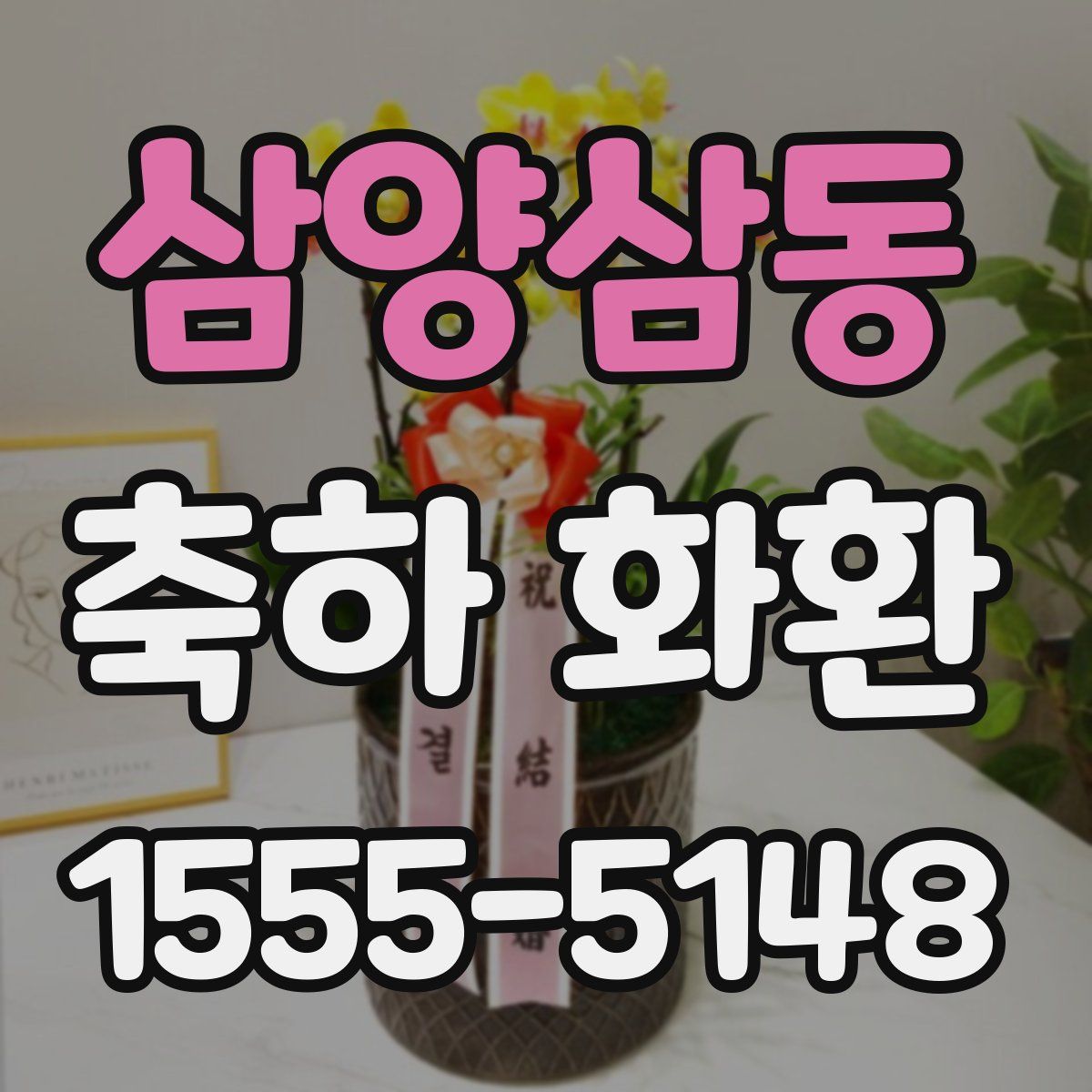 삼양삼동 축하 화환