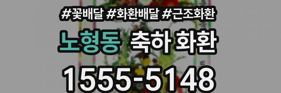 노형동 축하 화환