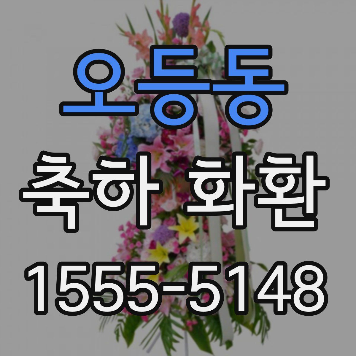 오등동 축하 화환