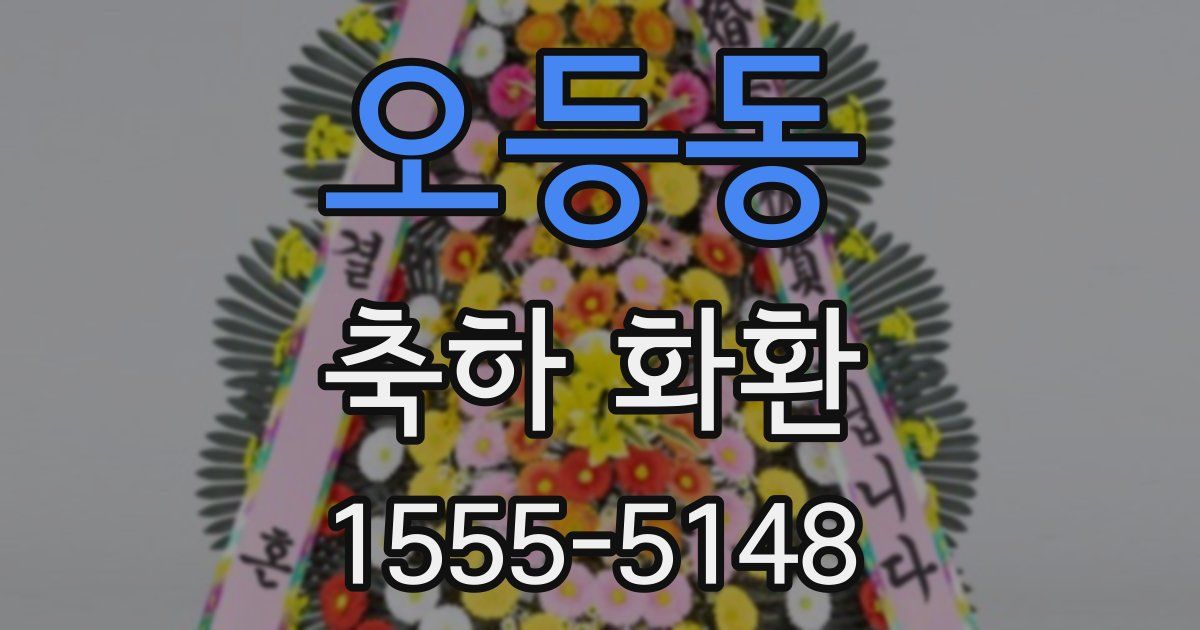 오등동 축하 화환
