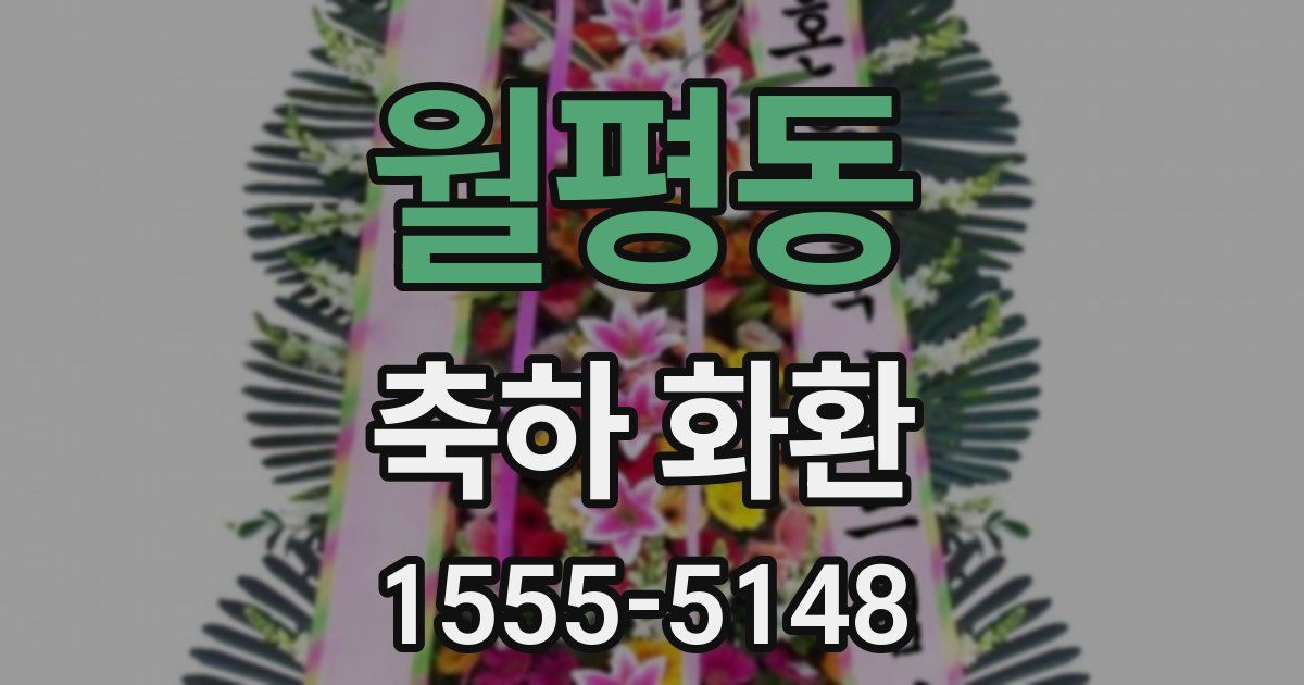 월평동 축하 화환