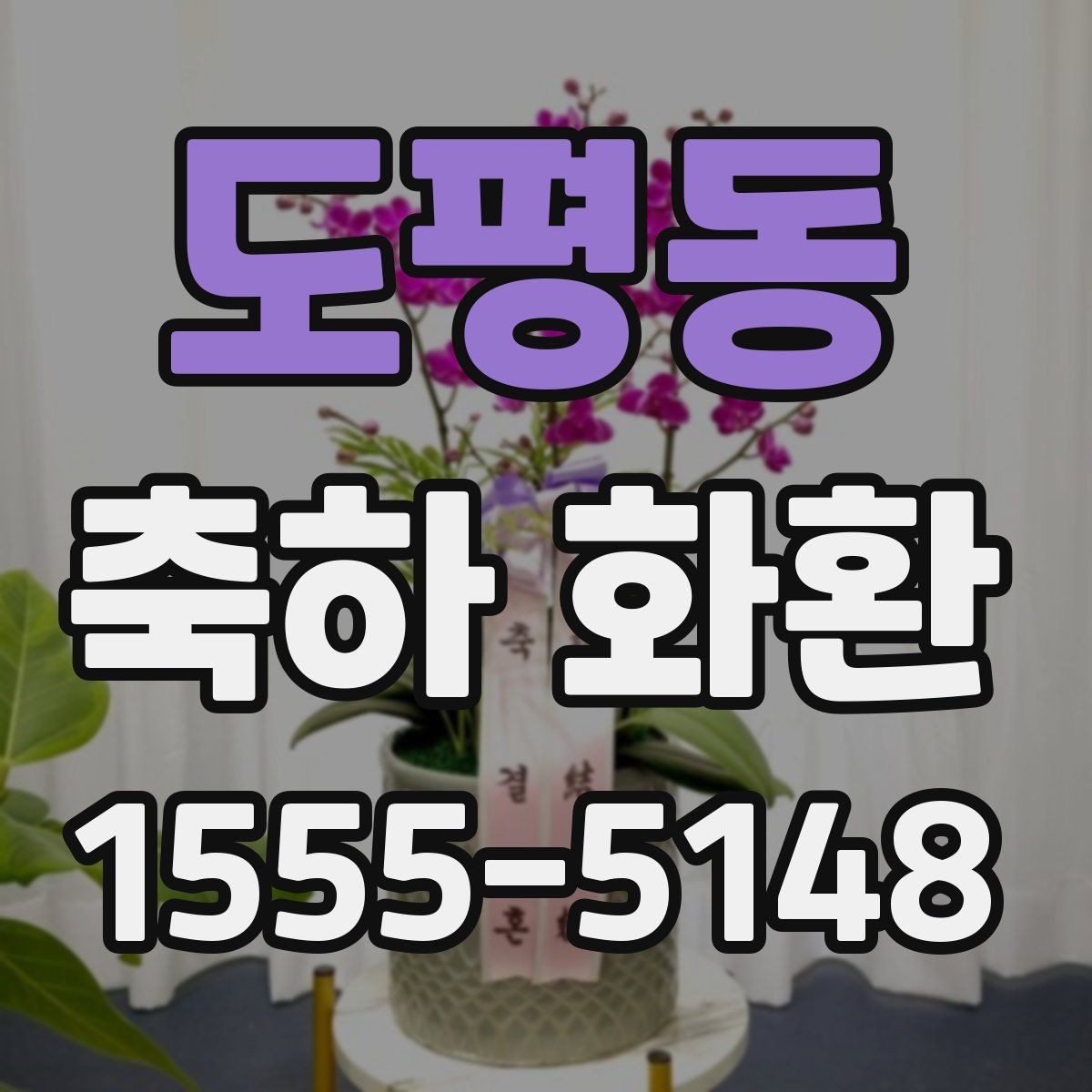 도평동 축하 화환