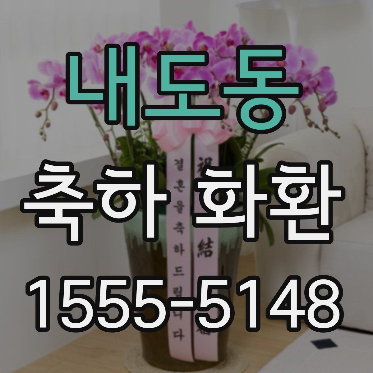 내도동 축하 화환