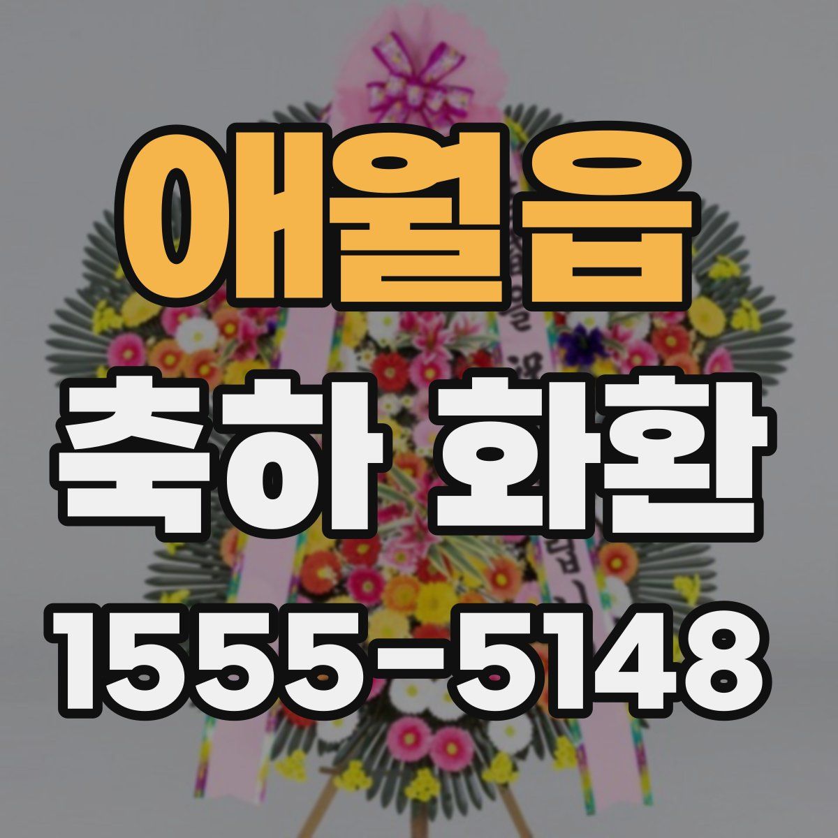 애월읍 축하 화환
