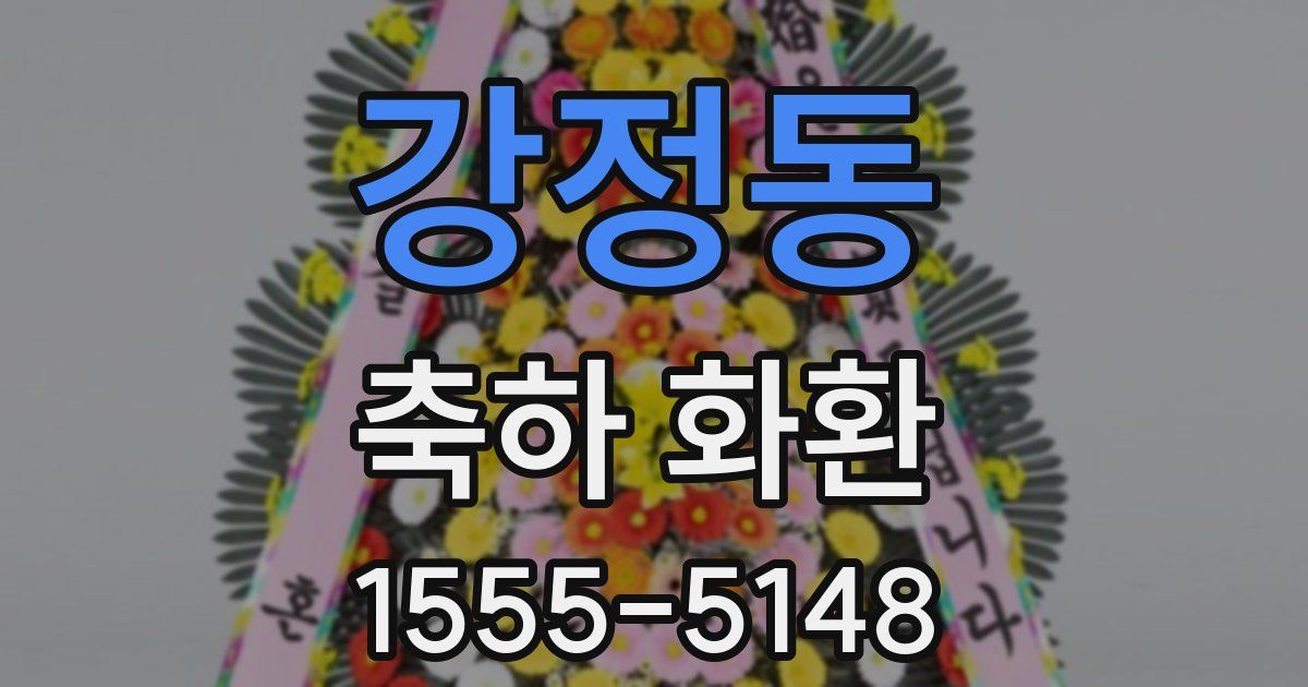 강정동 축하 화환
