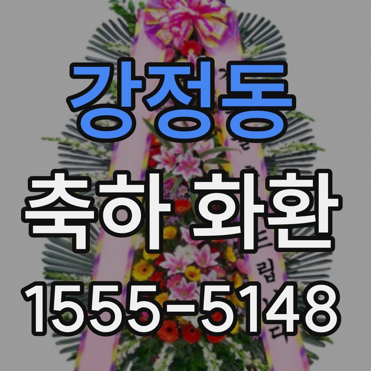 강정동 축하 화환