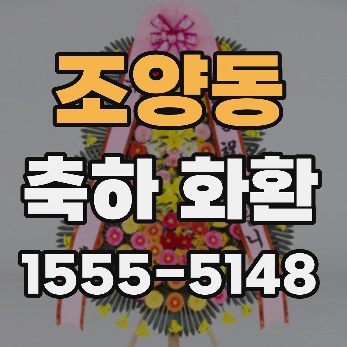조양동 축하 화환