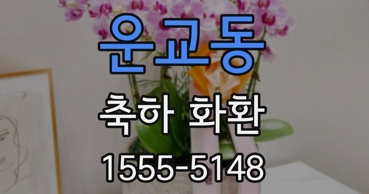 운교동 축하 화환