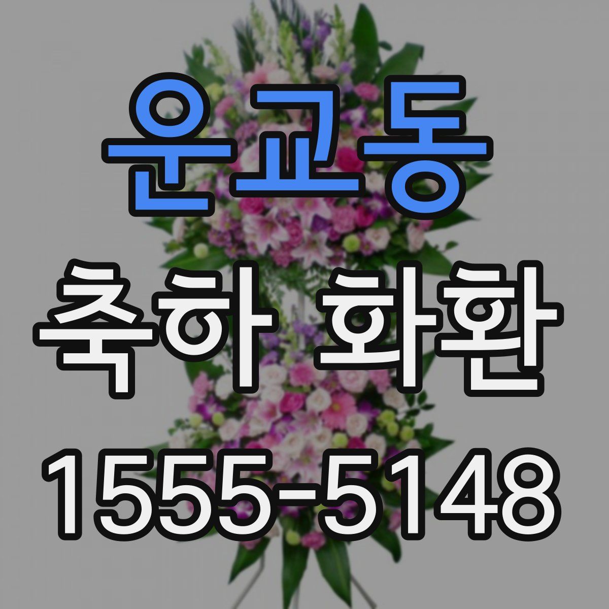 운교동 축하 화환