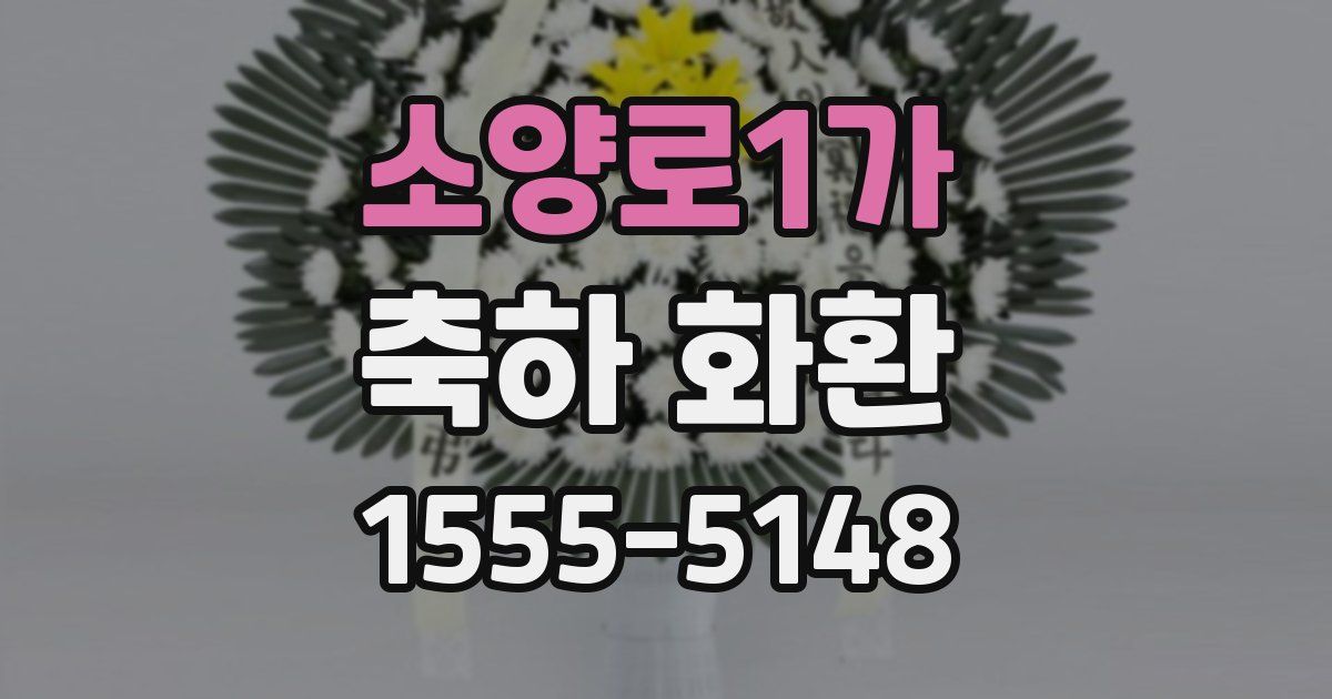 소양로1가 축하 화환