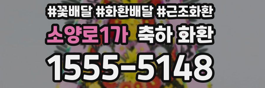 소양로1가 축하 화환