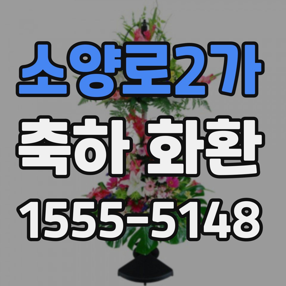 소양로2가 축하 화환