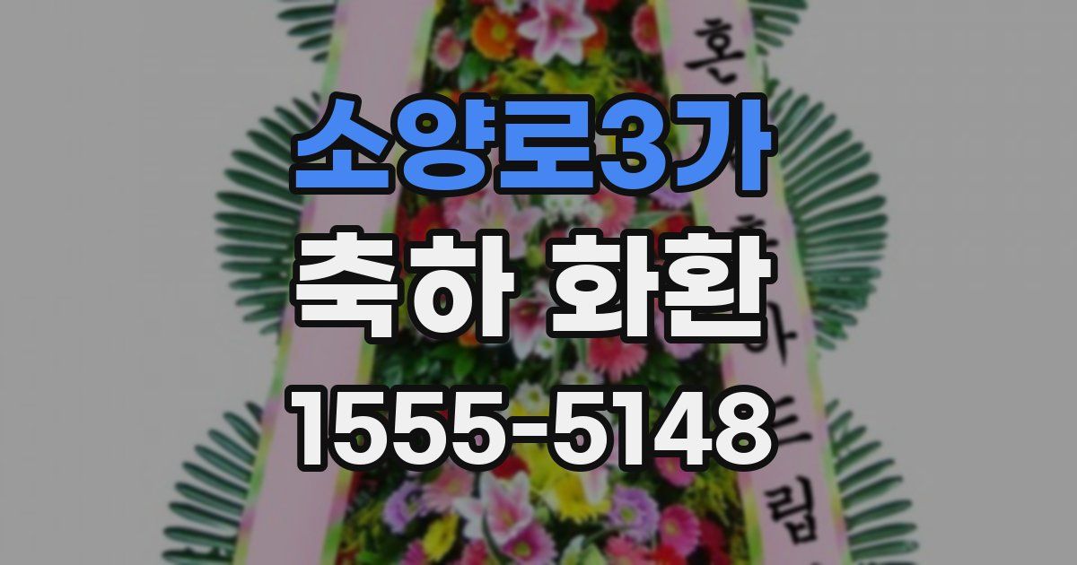 소양로3가 축하 화환