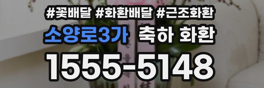 소양로3가 축하 화환