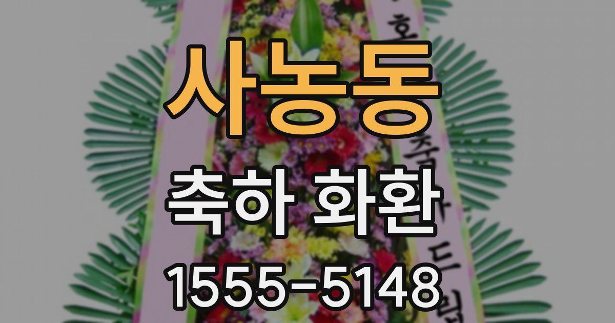 사농동 축하 화환