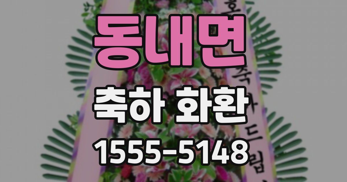 동내면 축하 화환