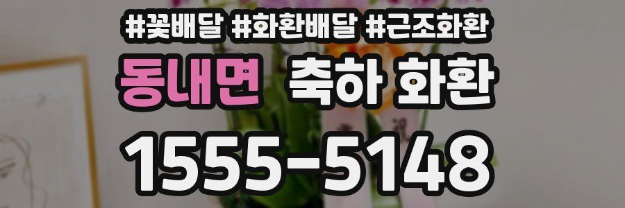 동내면 축하 화환