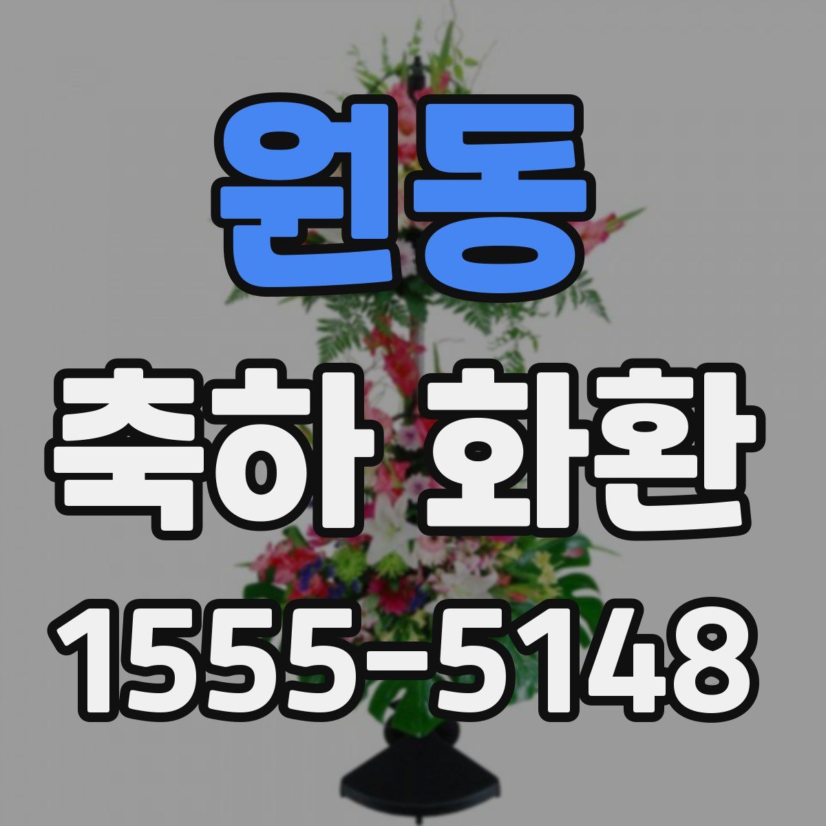 원동 축하 화환