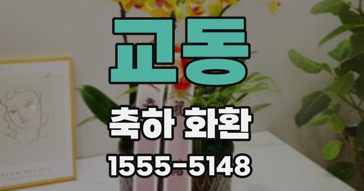 교동 축하 화환