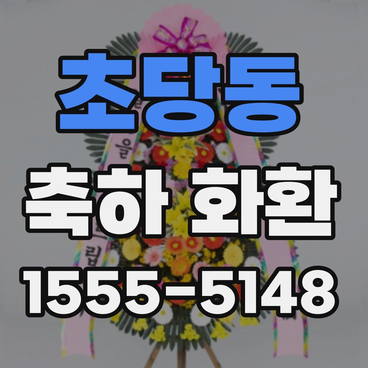 초당동 축하 화환