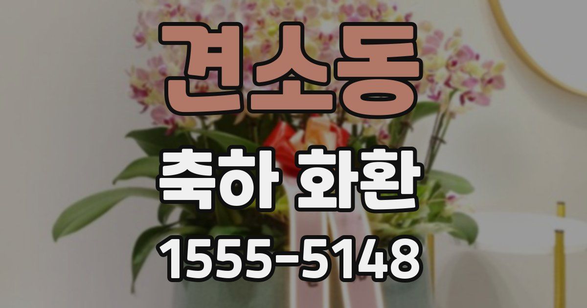견소동 축하 화환