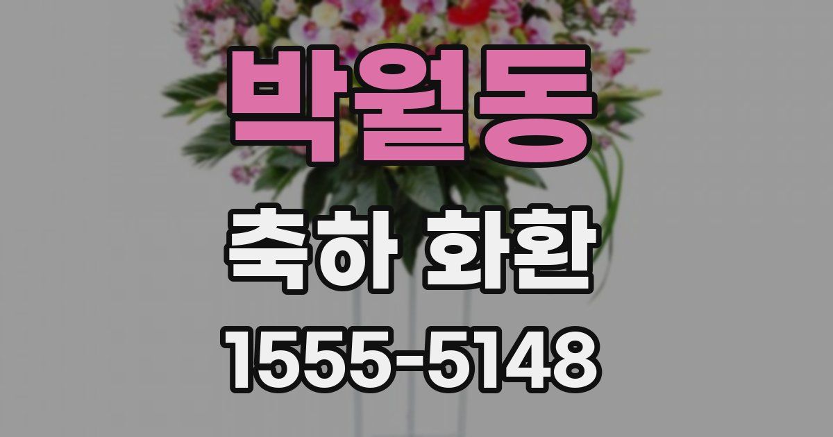 박월동 축하 화환