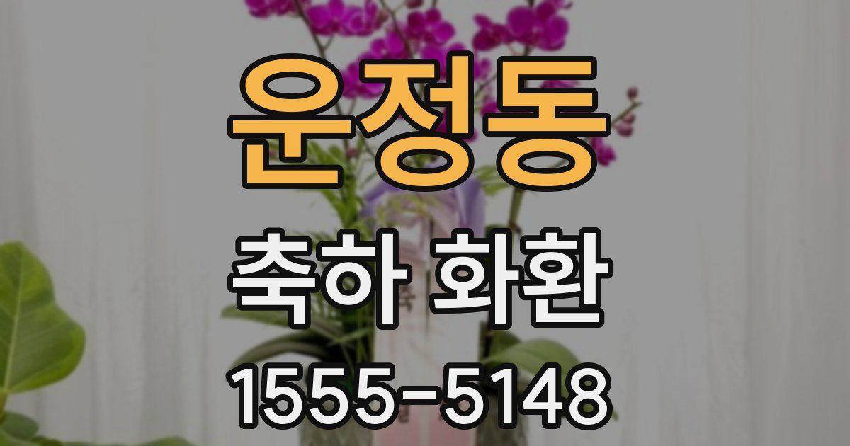 운정동 축하 화환