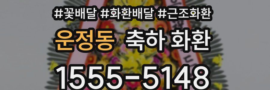 운정동 축하 화환
