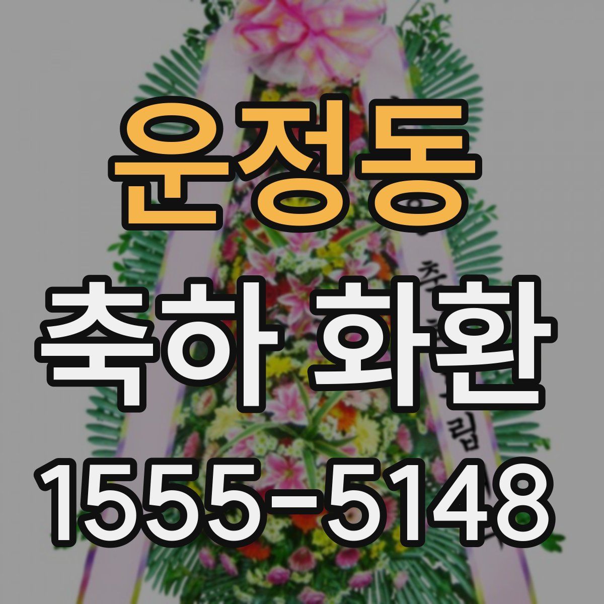 운정동 축하 화환
