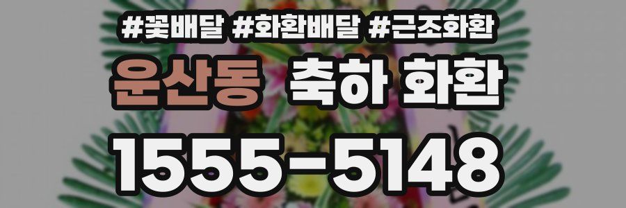 운산동 축하 화환